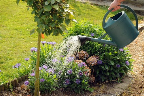 A garden scene featuring a well-maintained lawn bordered by lush flower beds with purple and brown flowering plants, and a small tree with fresh green leaves supported by a wooden stake. In the foreground, a person is watering the plants with a dark green watering can, with water visibly pouring out onto the flowers. The garden area appears neat and landscaped, with a gravel path or border separating the flower beds from the grass, and an outdoor environment under natural daylight. The setting reflects professional garden maintenance and landscaping, suitable for local gardening services in Elephant and Castle or nearby areas, emphasizing healthy plant growth and outdoor care.